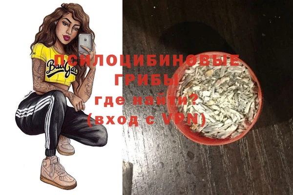 амф Алексин