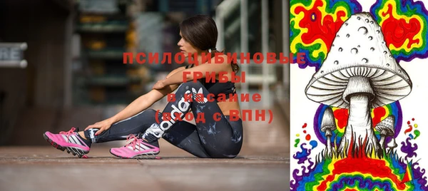 бошки Алзамай