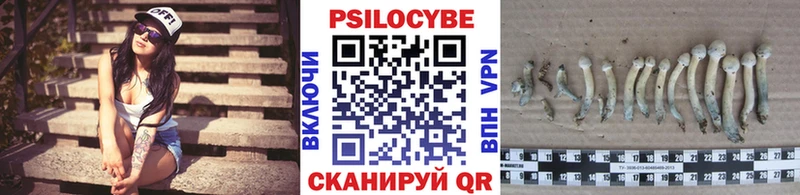 как найти закладки  блэк спрут ссылка  Галлюциногенные грибы Psilocybine cubensis  Томмот 